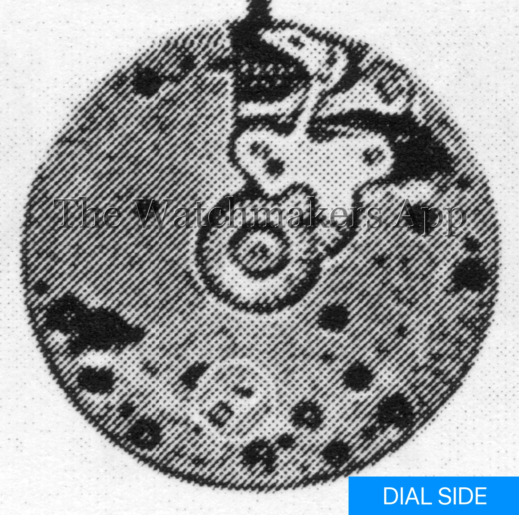 Felsa 146