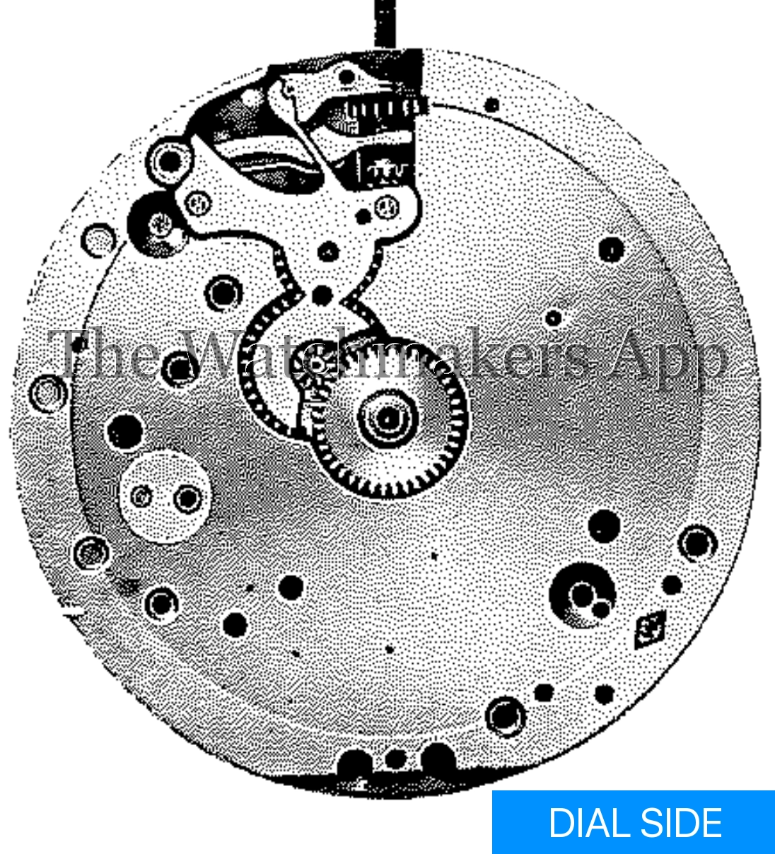 Felsa 154 Wasa