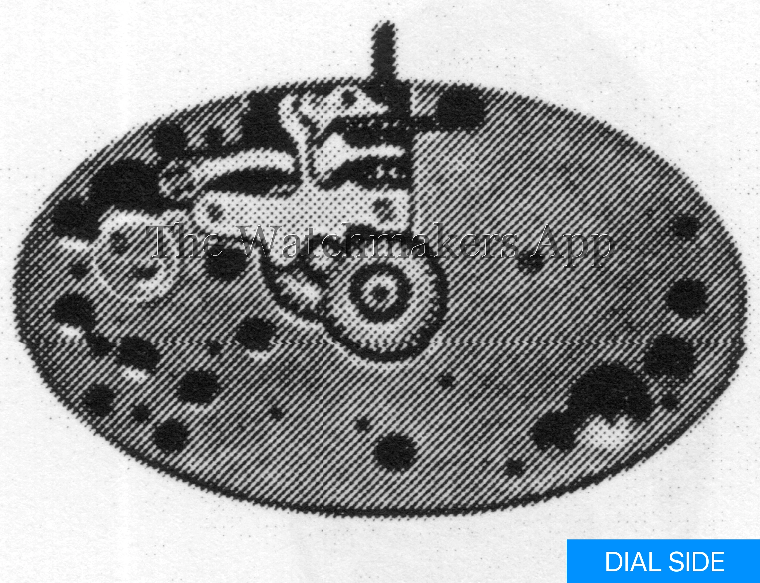 Felsa 194