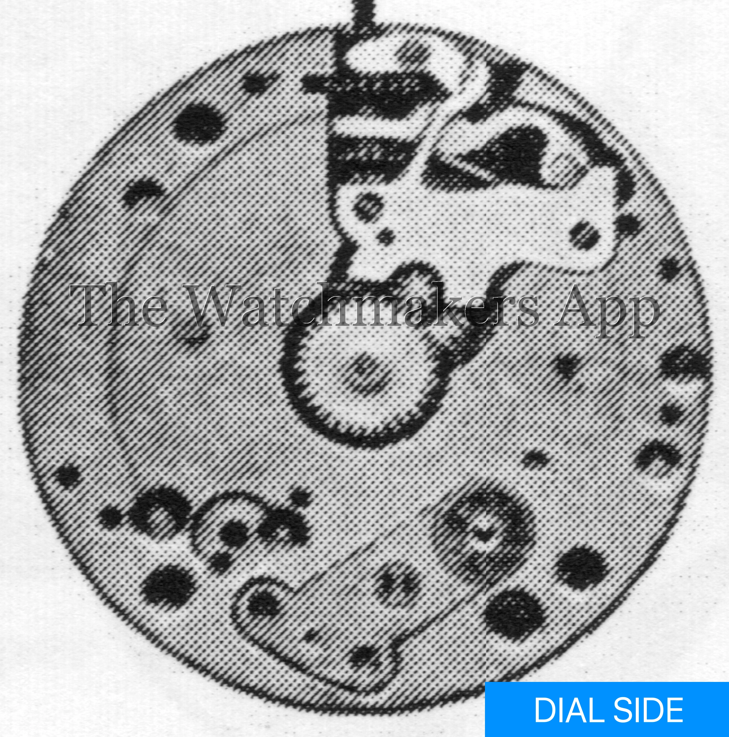 Felsa 196