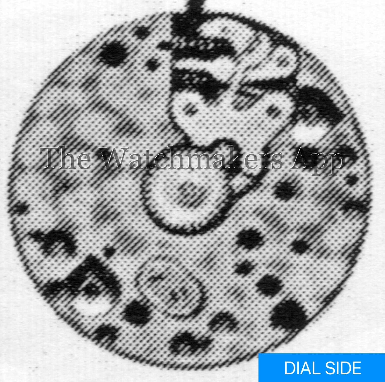 Felsa 197