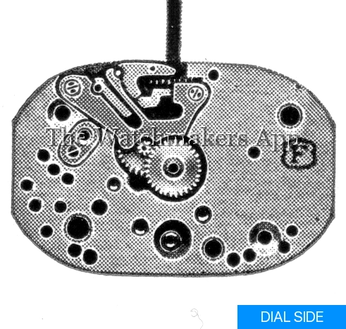 Felsa 302