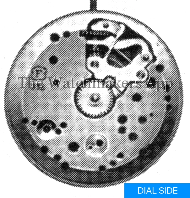 Felsa 319, H3.62