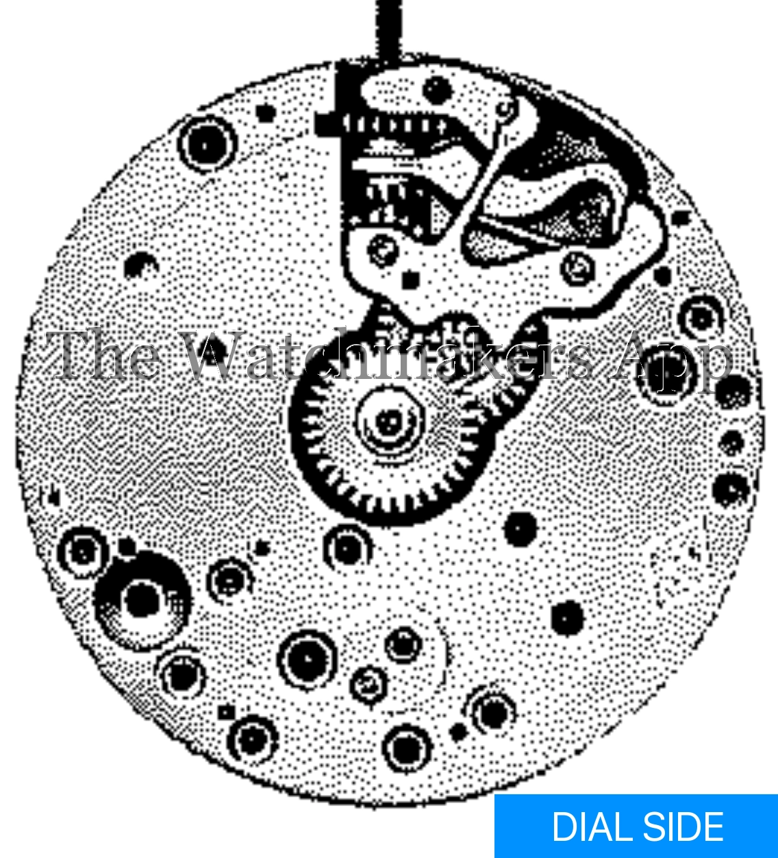 Felsa 52 Wasa