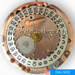 Felsa 694, Bidynator