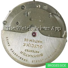 Felsa 697, Bidynator