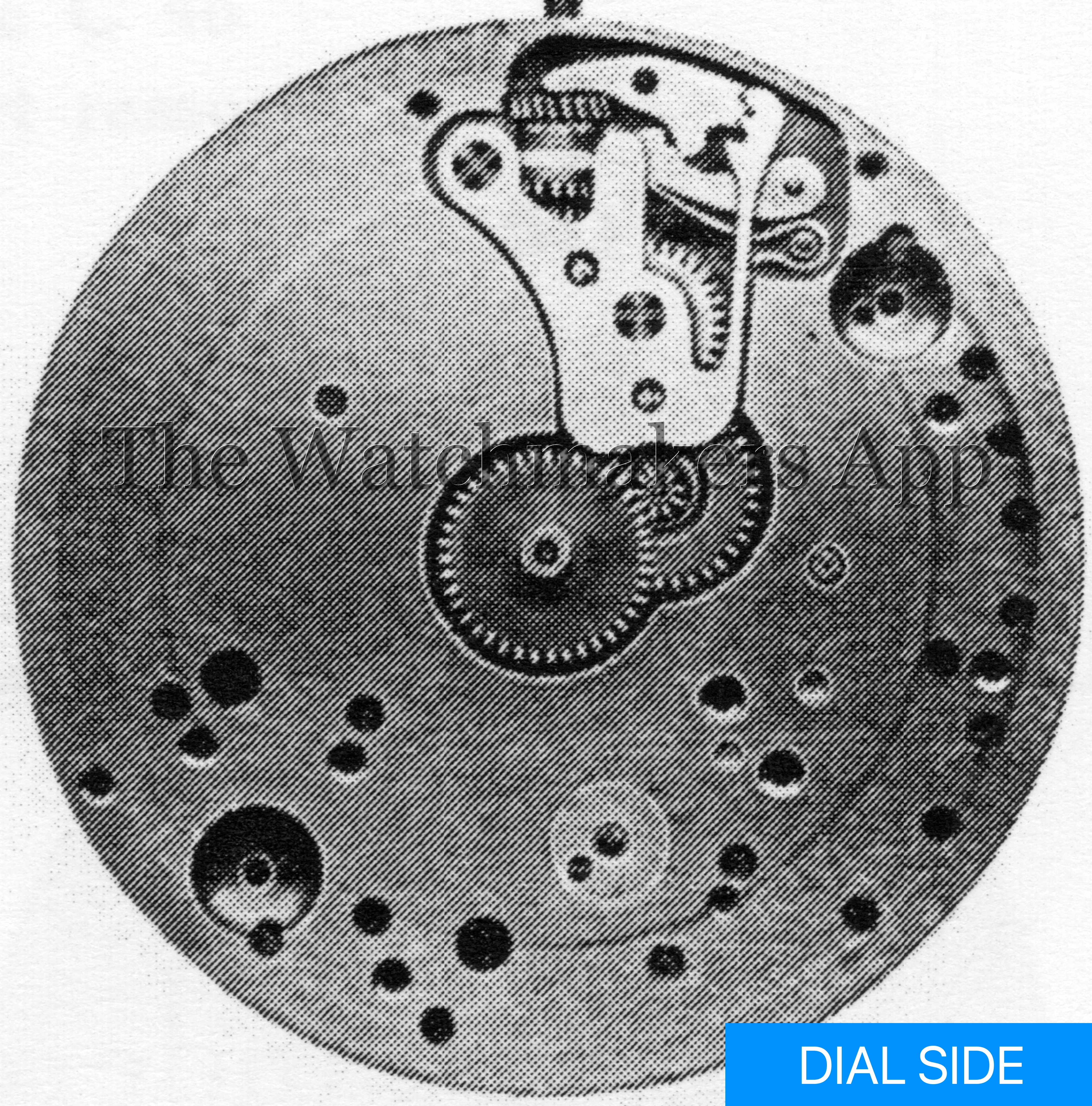 FHF 1146, 19'''