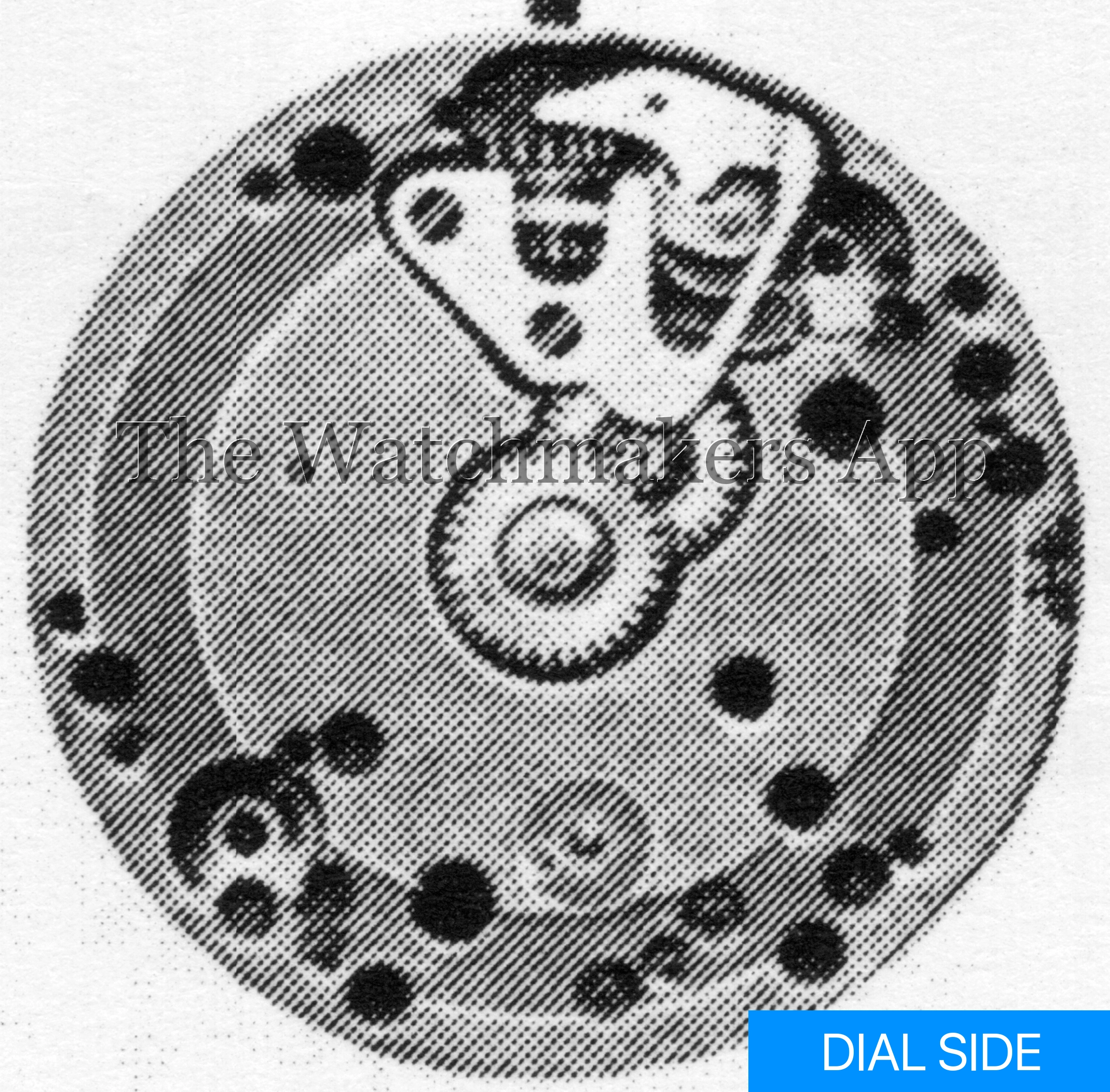 FHF 1156, 10.5'''