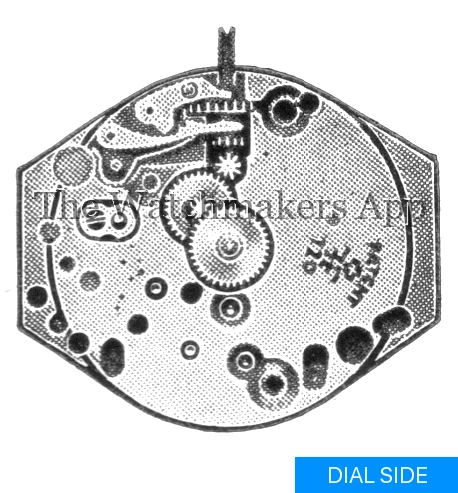 FHF 123