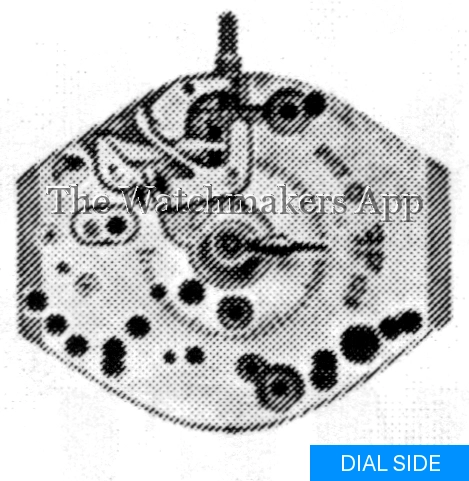 FHF 123-1