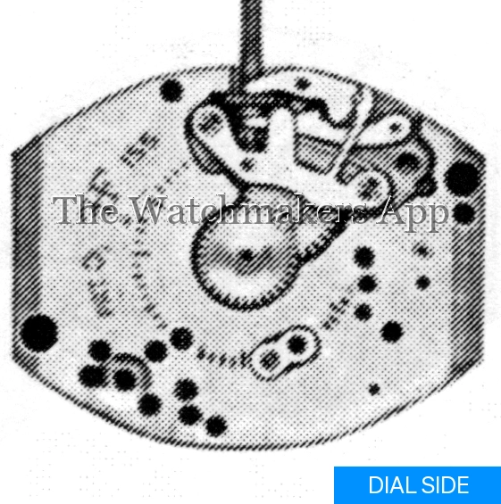 FHF 155