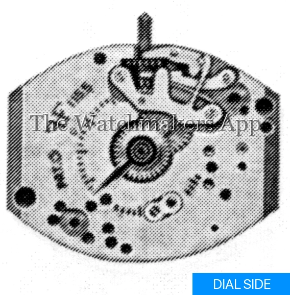 FHF 155-1
