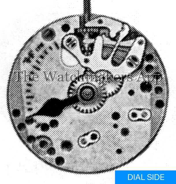 FHF 175