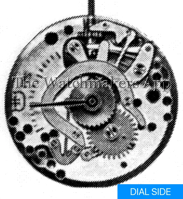 FHF 175-3