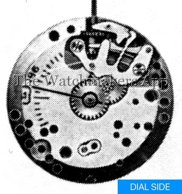 FHF 186