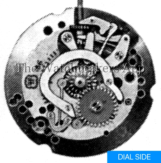 FHF 186-3
