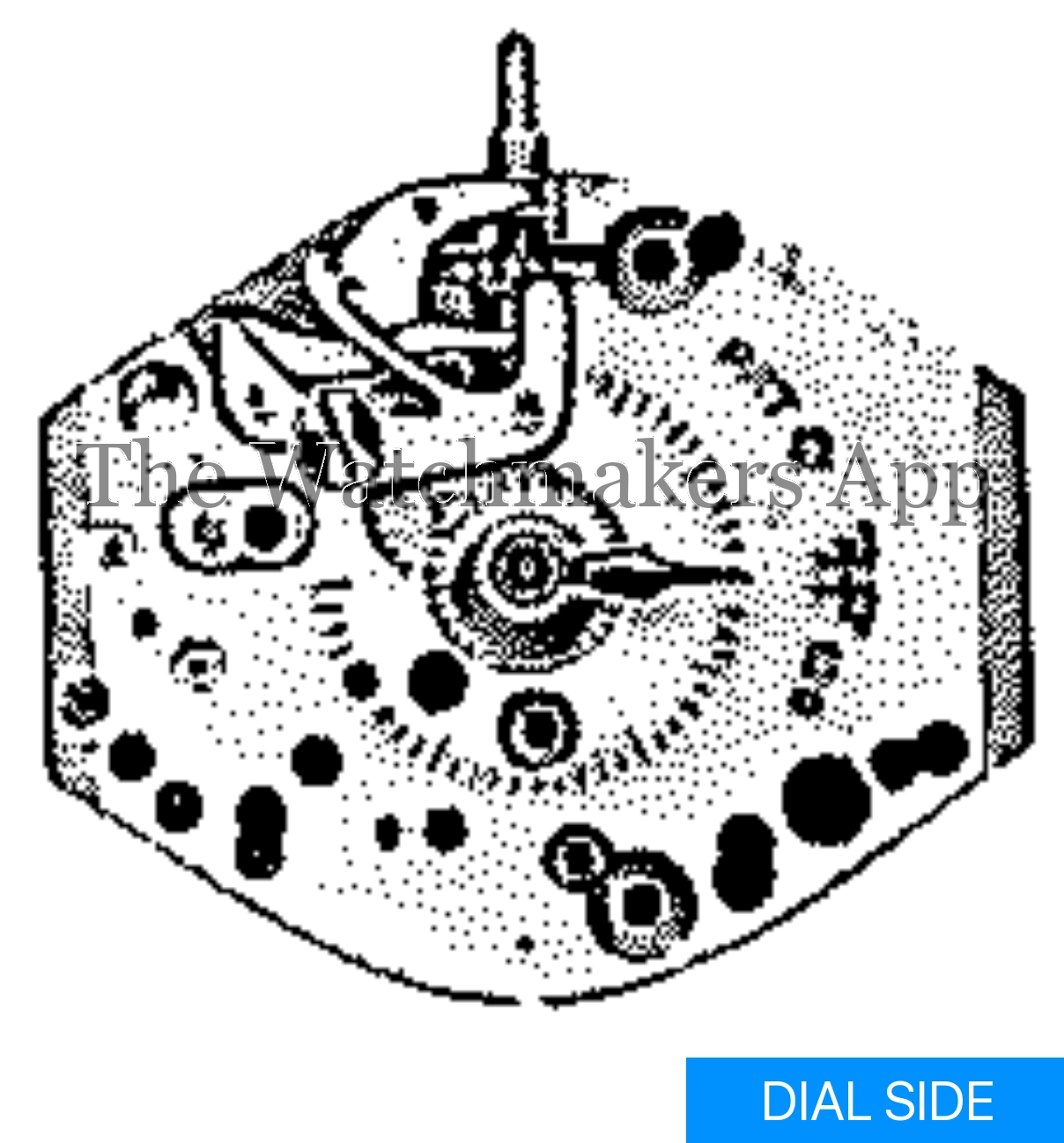FHF 212