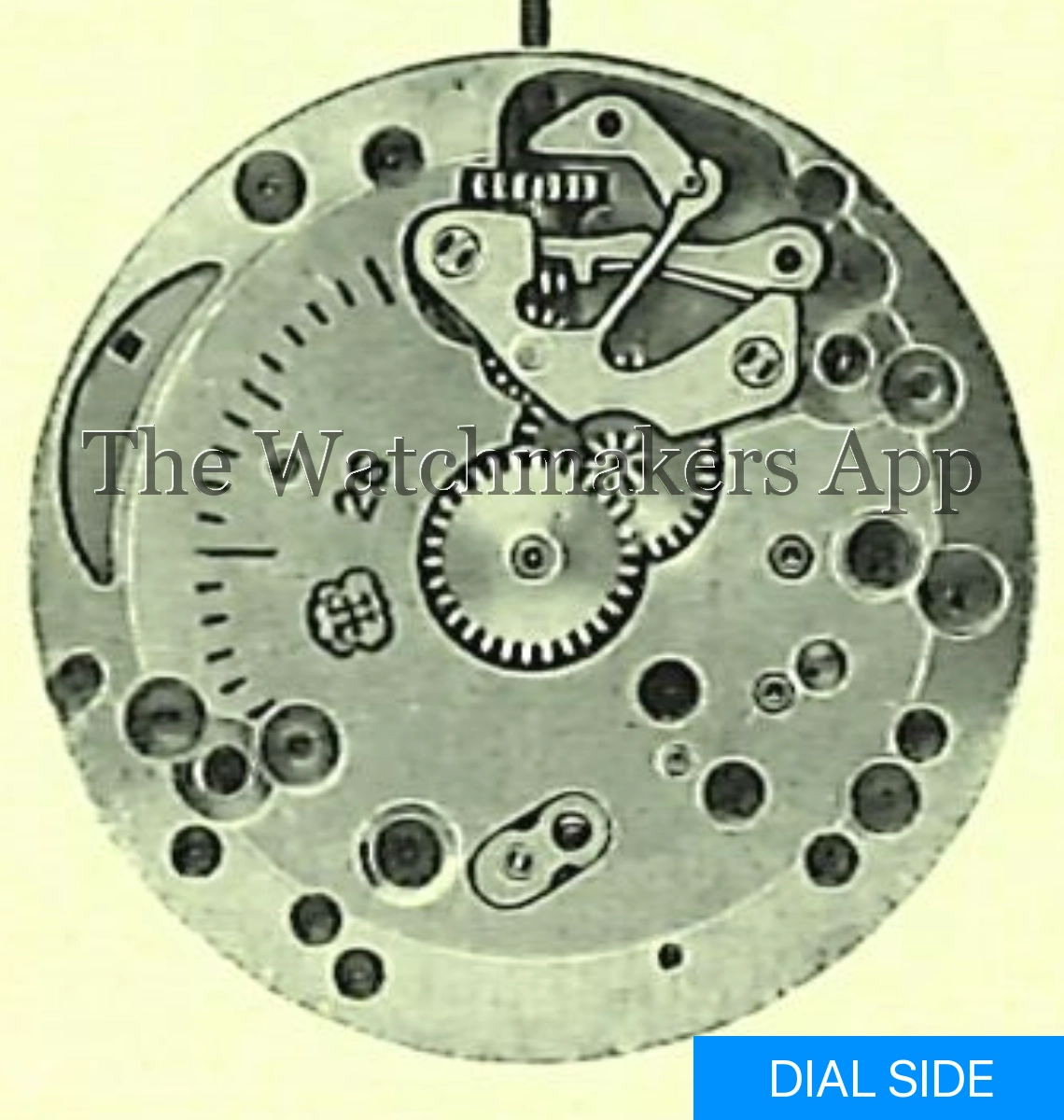 FHF 264
