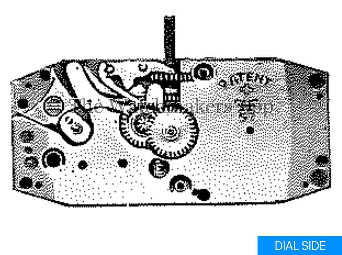 FHF 51