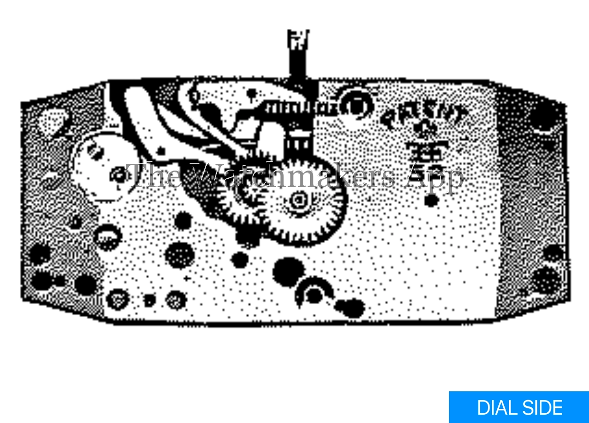 FHF 52