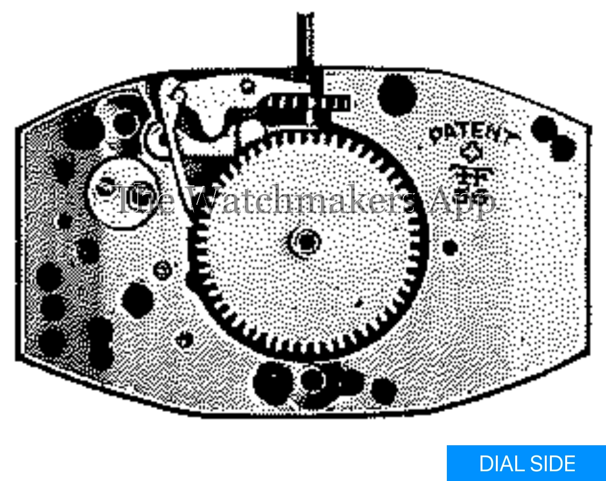 FHF 56
