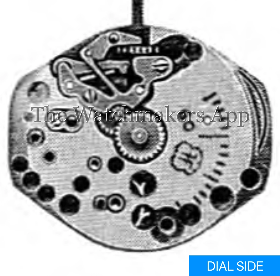 FHF 601