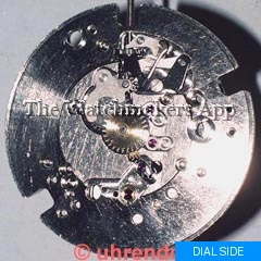 FHF 65