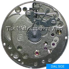 FHF 81