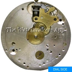 Helvetia 18.5''', H5.5
