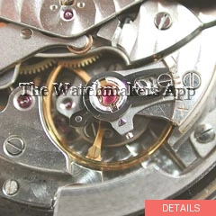 IWC 8541