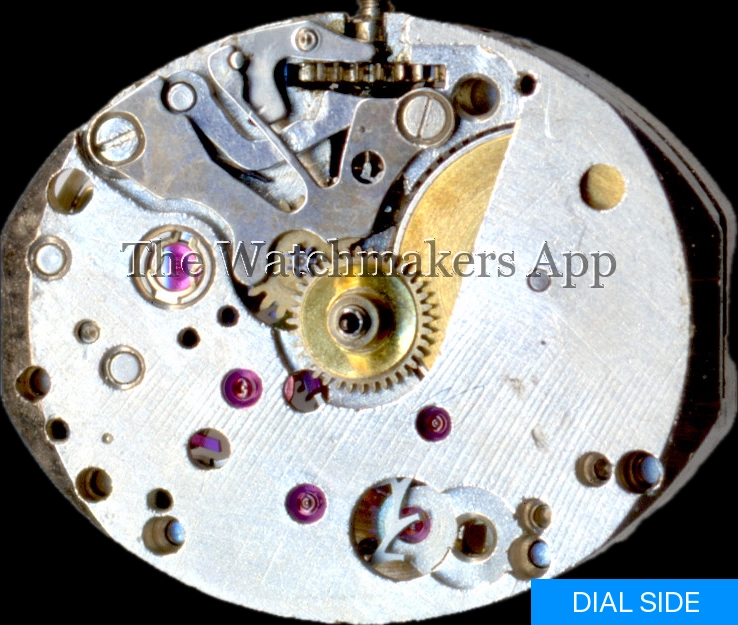 Kasper 1120
