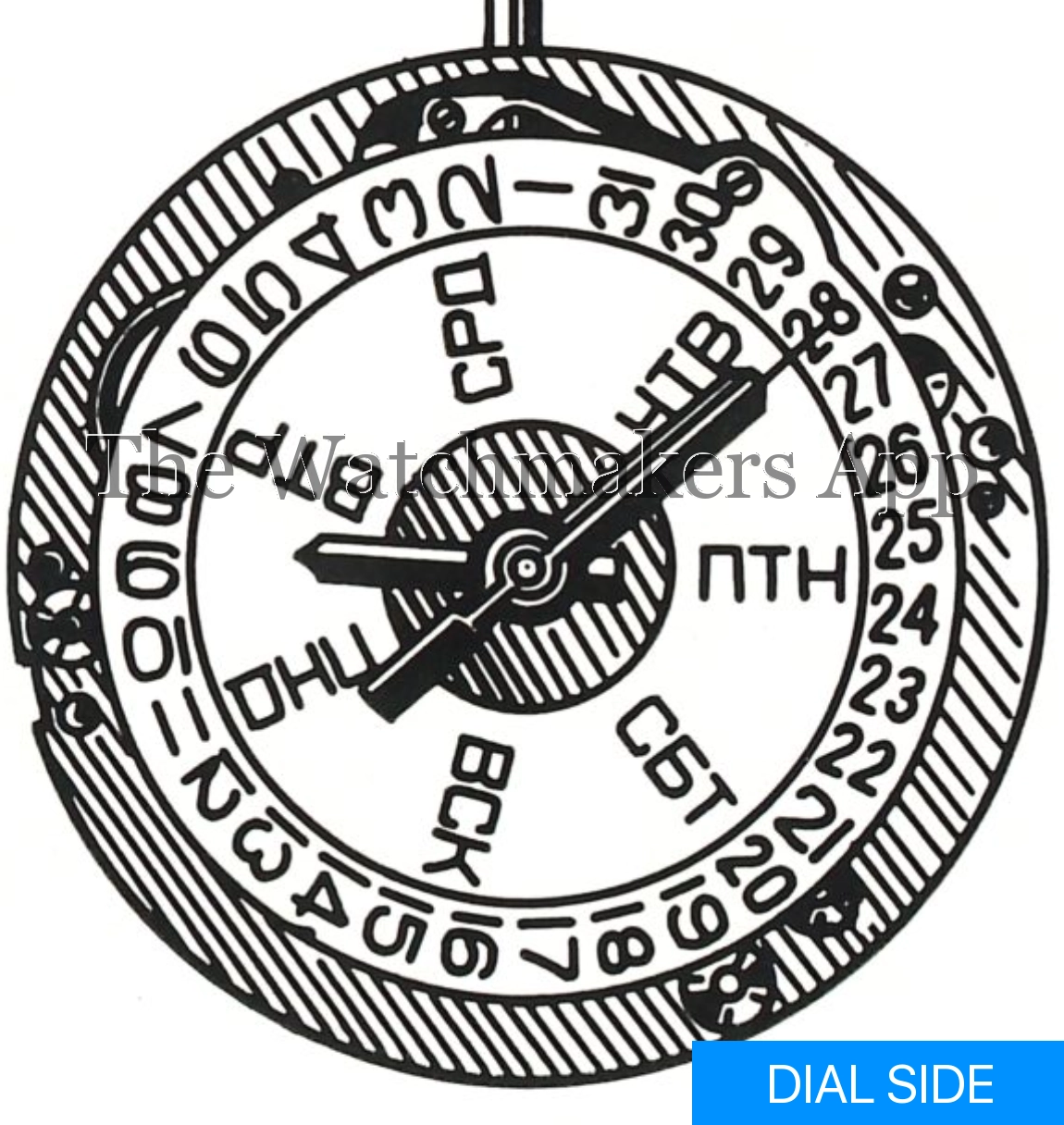 Луч 3055