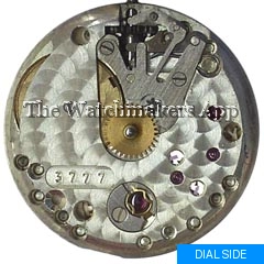 Movado 17