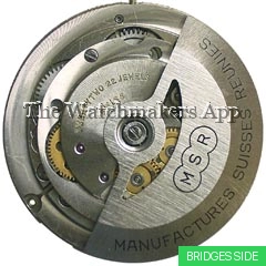 MSR T53