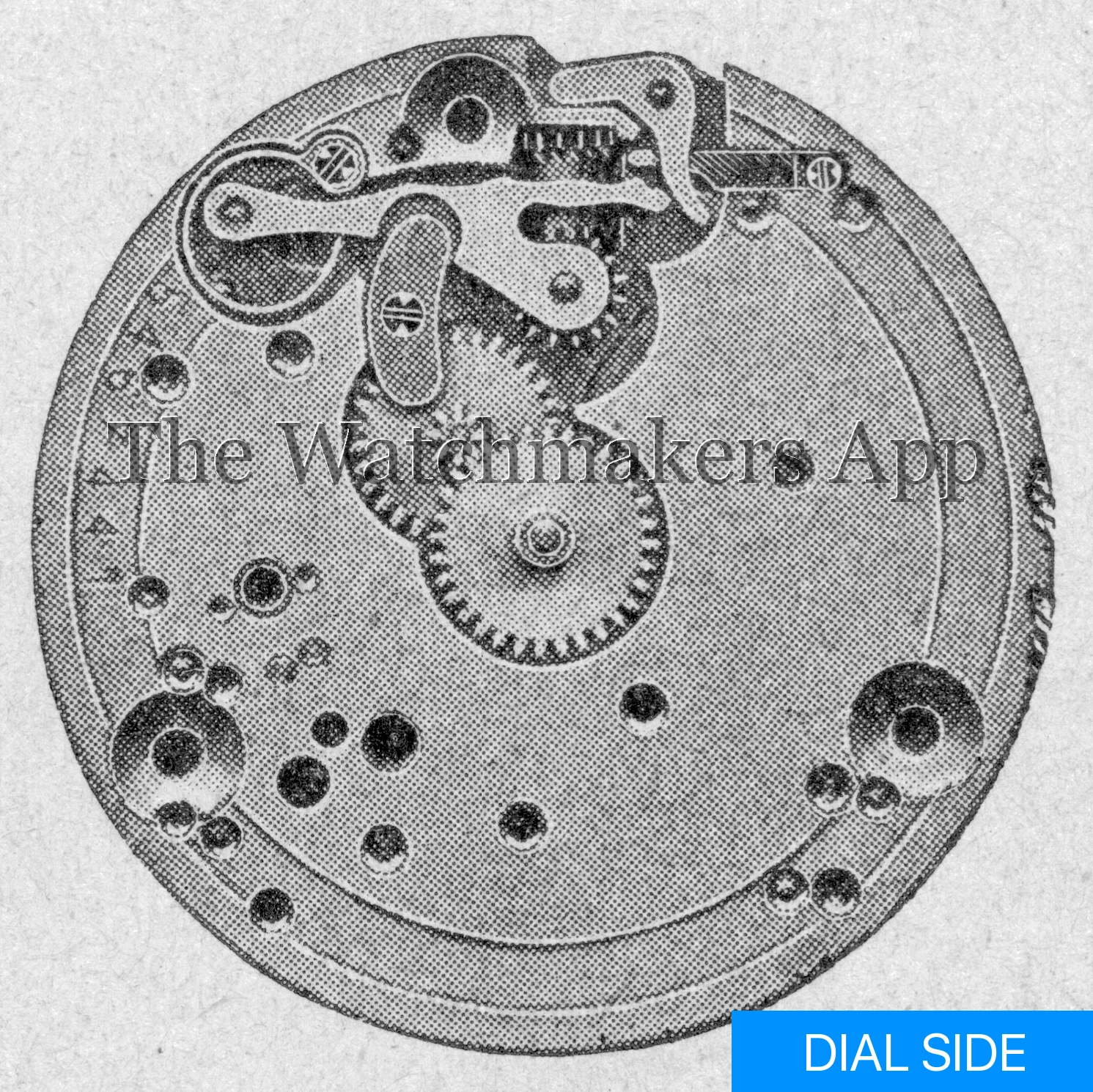 Omega 13''', open face