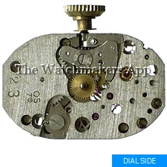 Osco 53