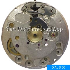 Parrenin 601A