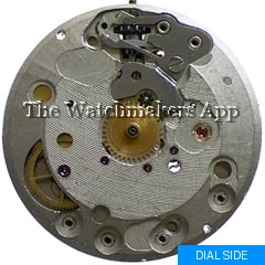 Parrenin Z170