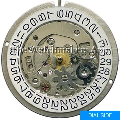 PUW 1564T