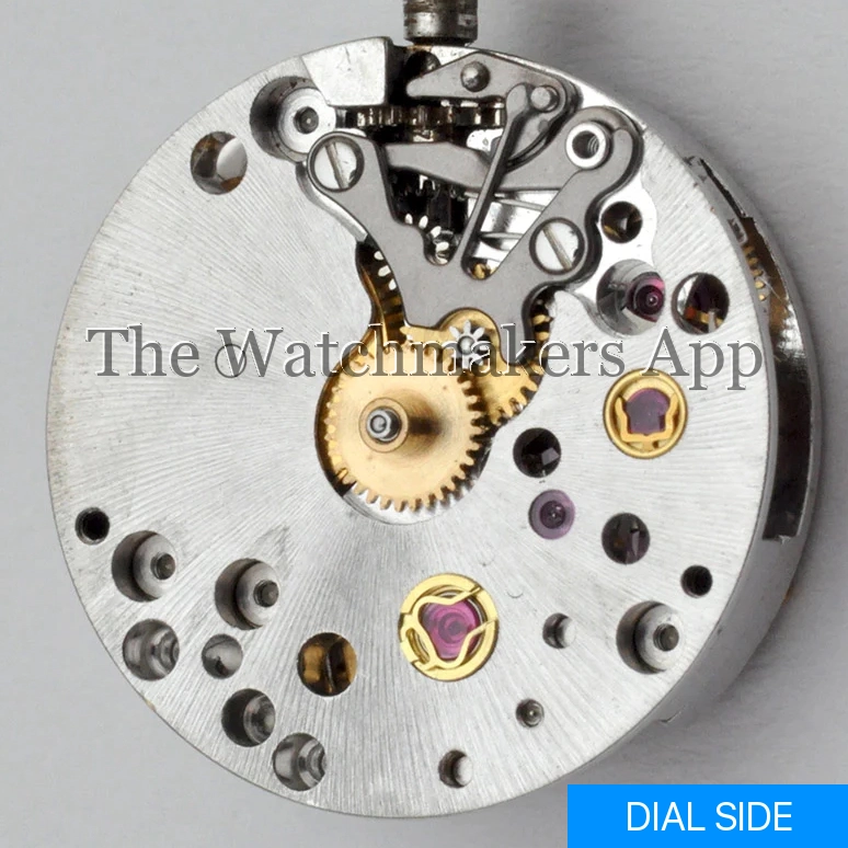 Rolex 1401