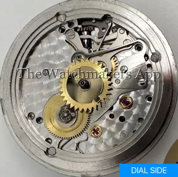 Rolex 1556