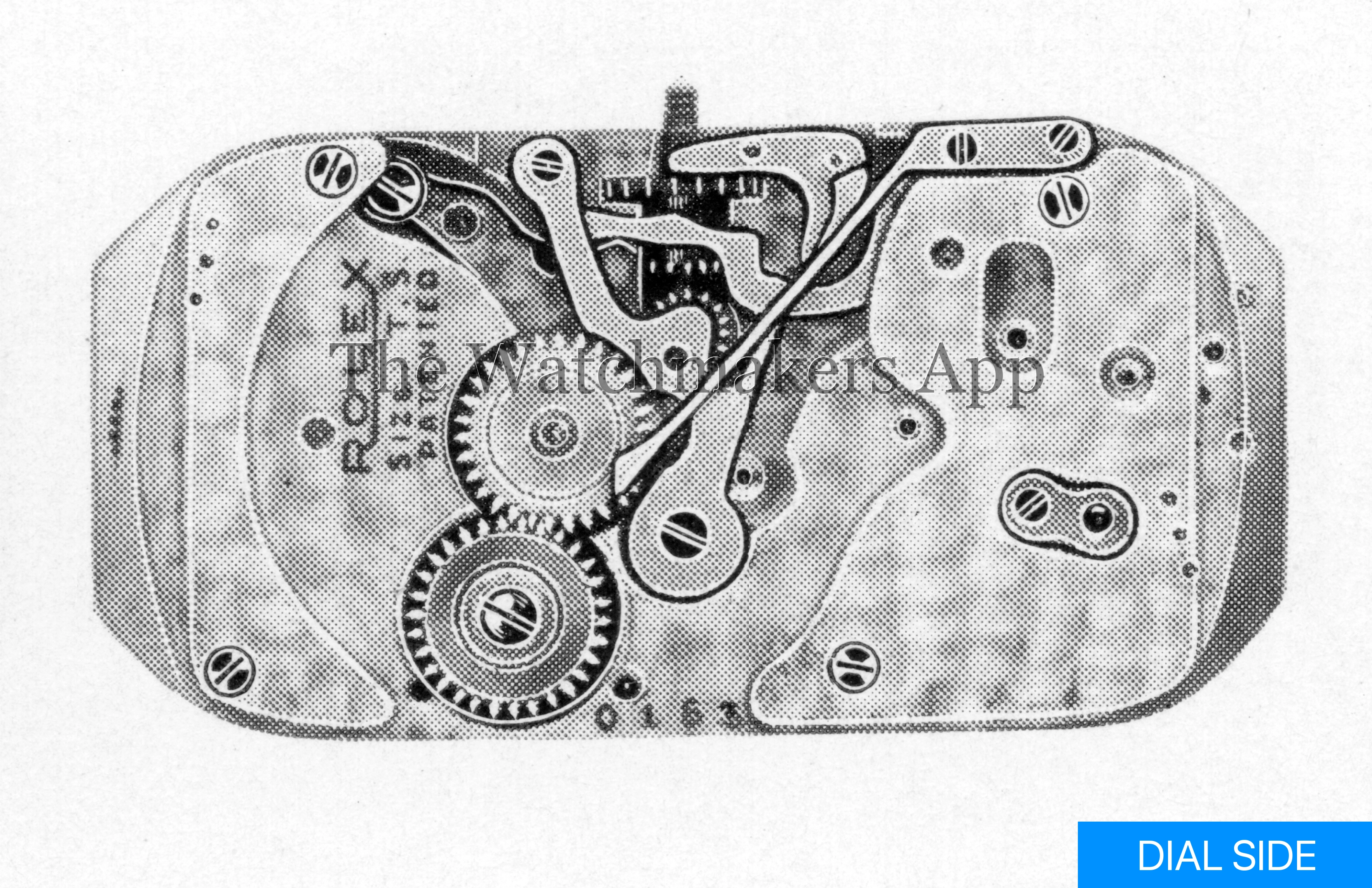 Rolex 350
