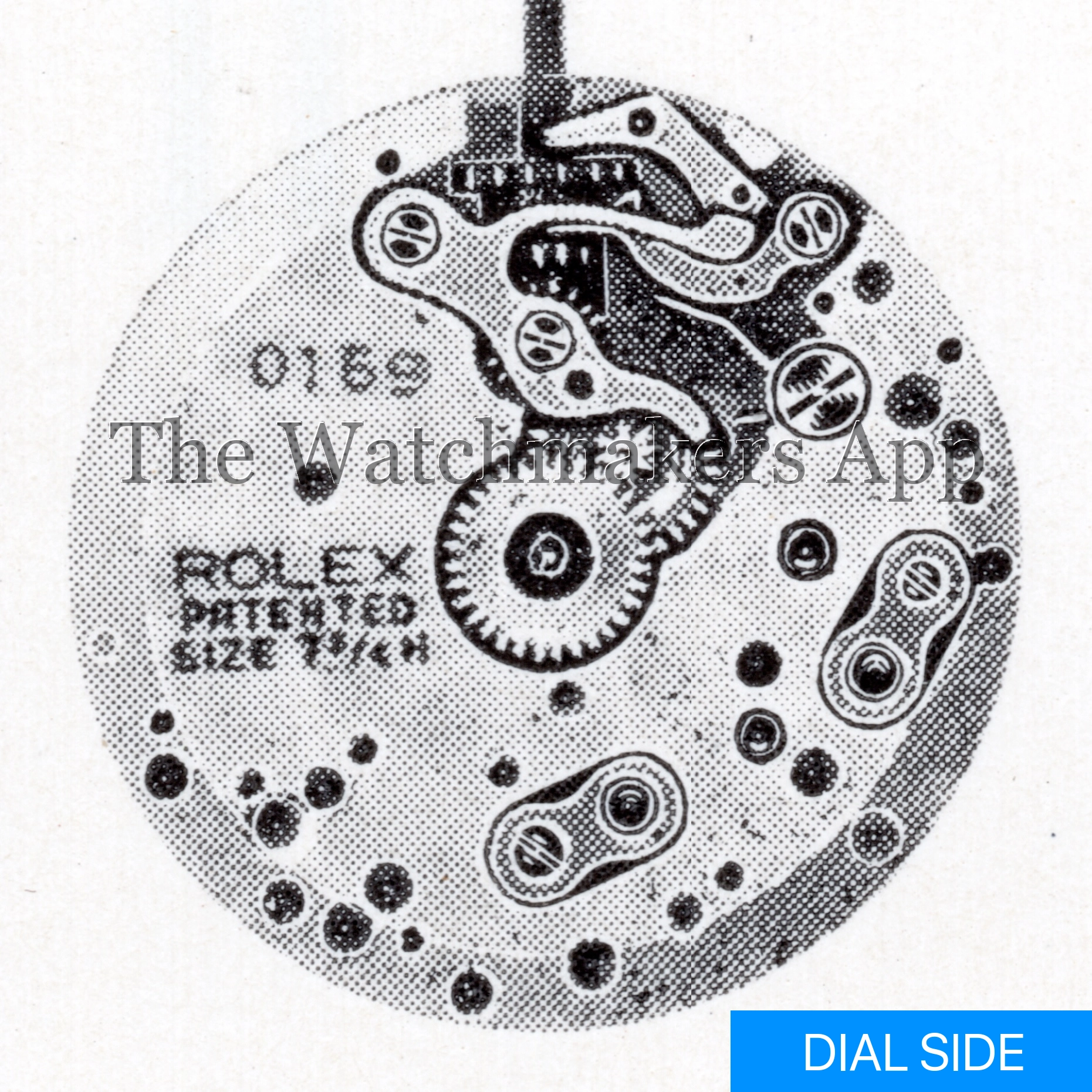 Rolex 400