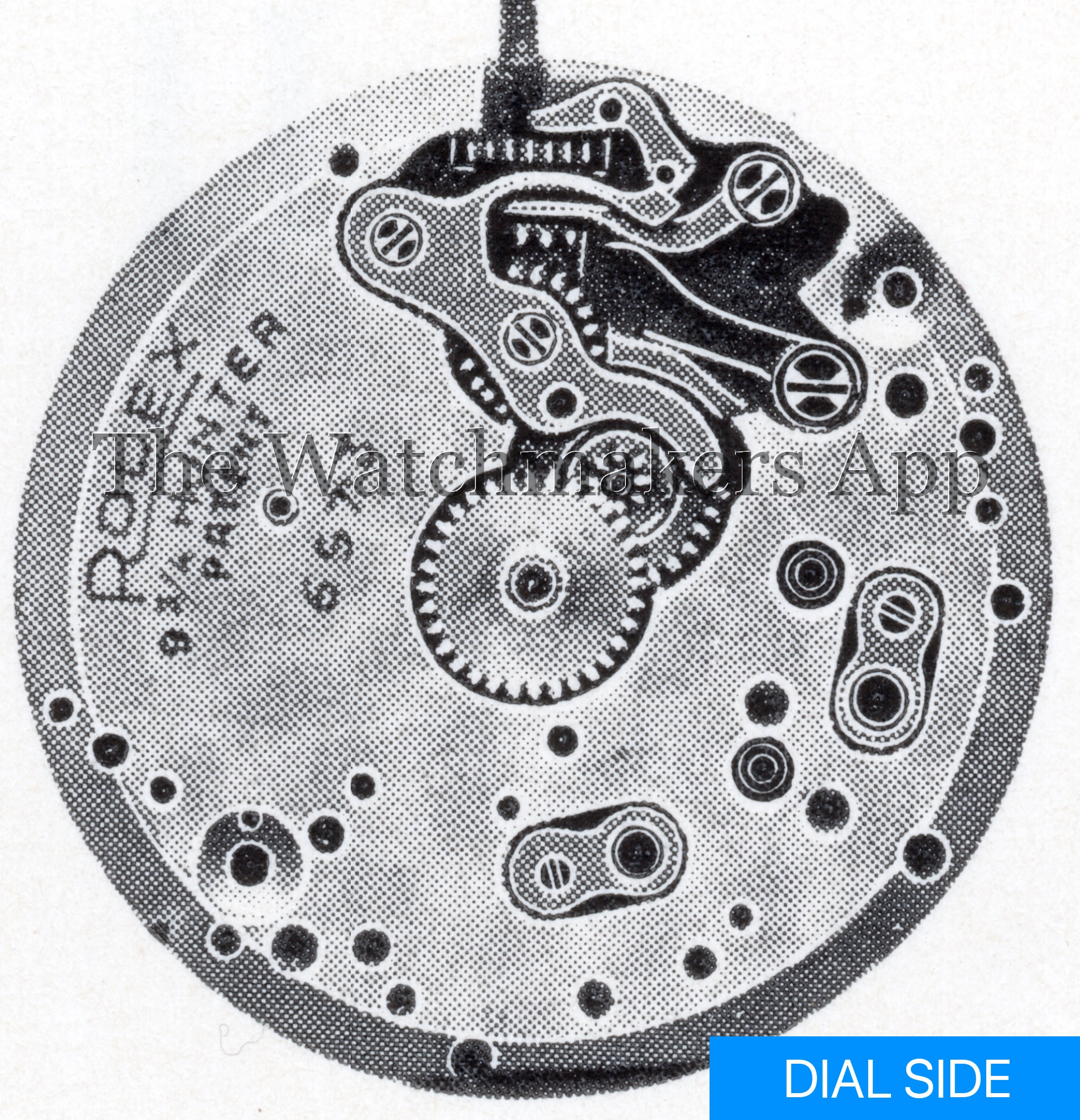 Rolex 600