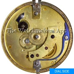 Shortsinger 16 size