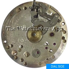 Silvana 1180