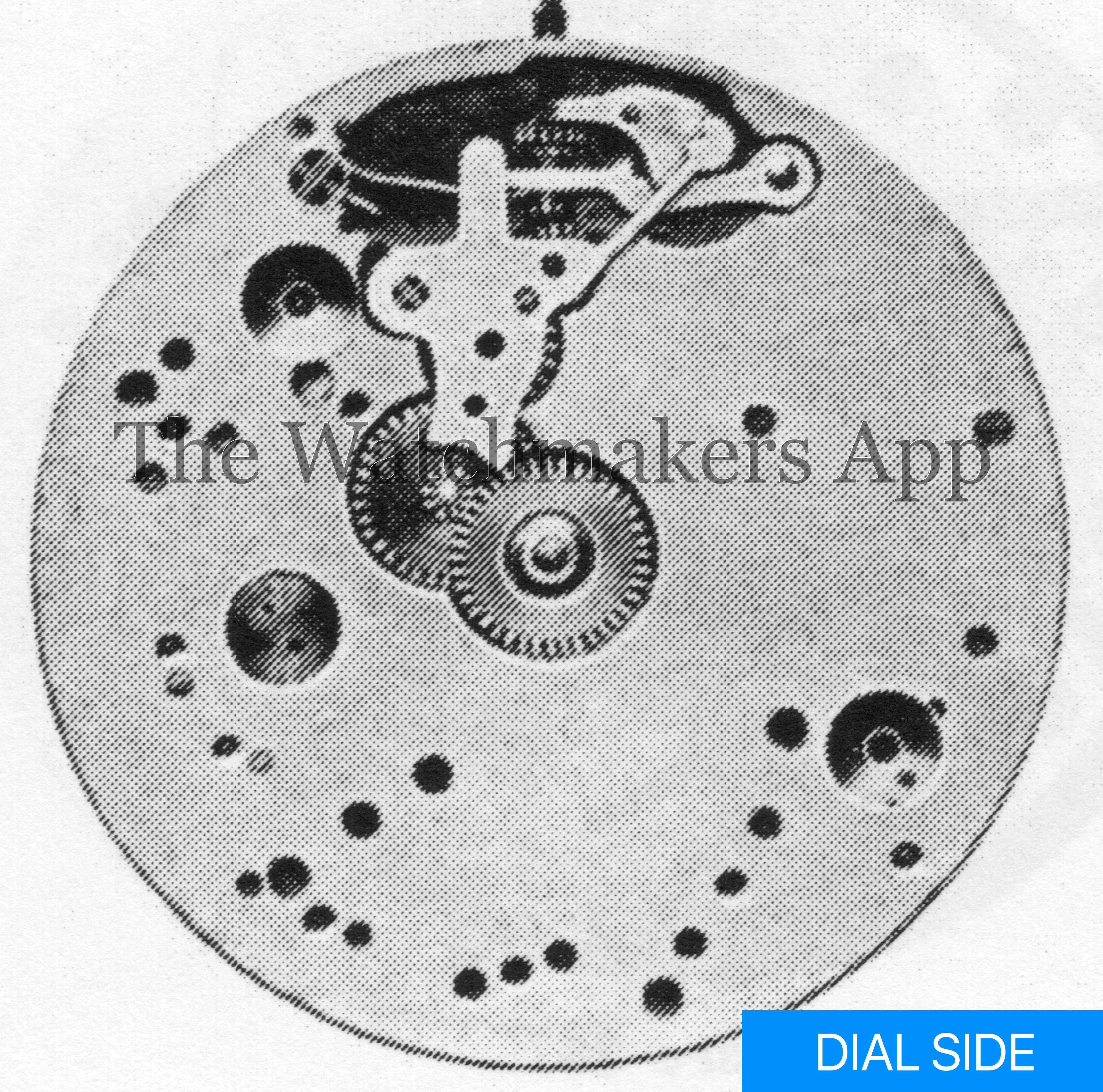 Sonceboz 113, 16''', H3.6