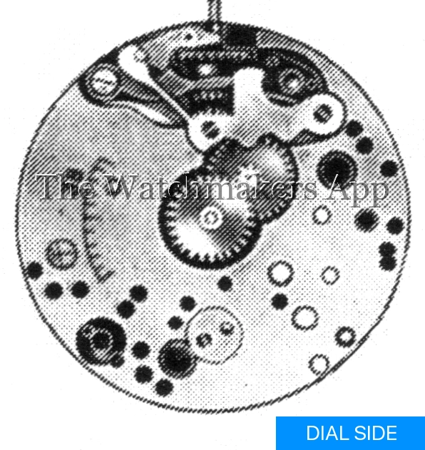 Tavannes 41