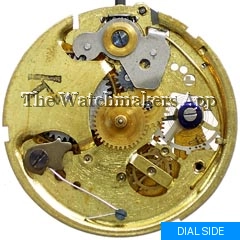 Thiel Regular