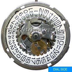 Timex M101